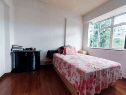 Sommerville Loft (D13), Apartment #580697601